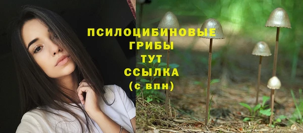 гидропоника Касимов
