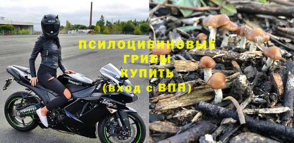 твердый Алзамай
